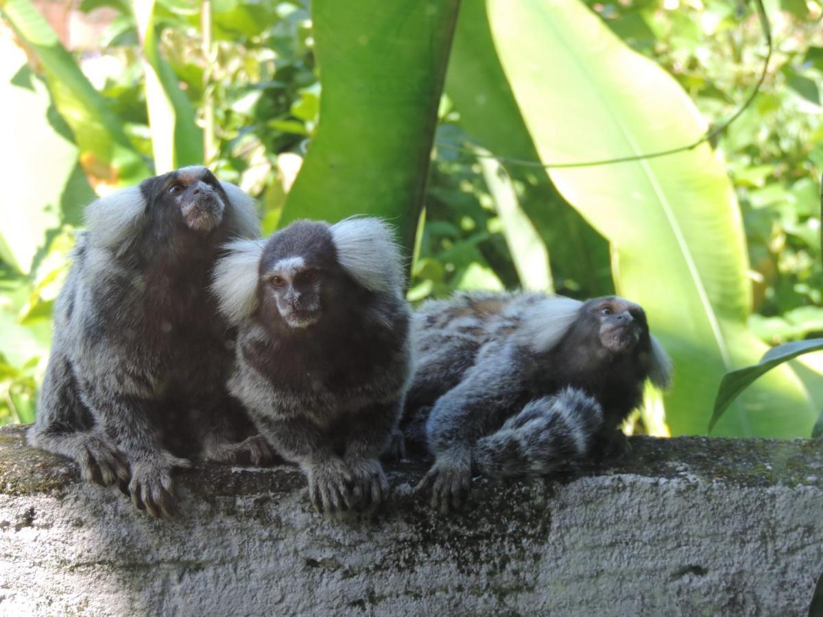 Pousada Tropicalia Paraty Ngoại thất bức ảnh